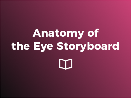 Anatomy of the Eye Storyboard  
